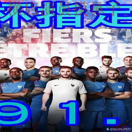 世界杯买球网站盘点：官网直达+直播全指南 - 世界杯官方信息