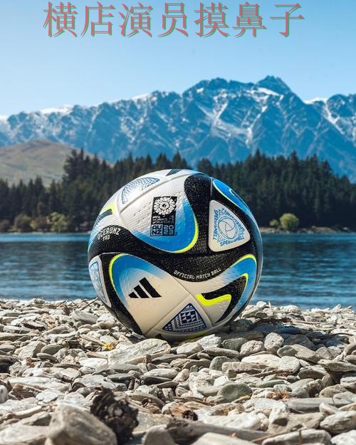 FIFA World Cup 2026期间热门世界杯投注平台揭秘与直播入口分析